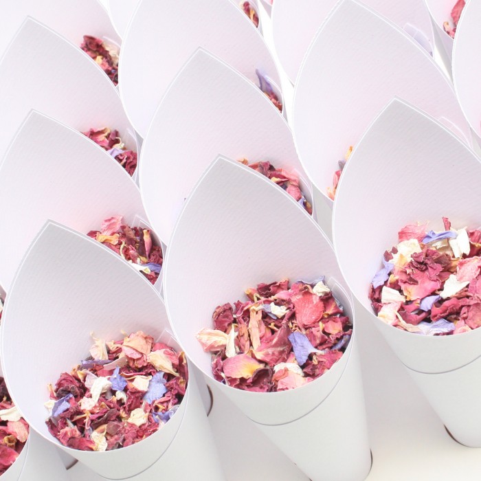 Full Essential Confetti Cone Package